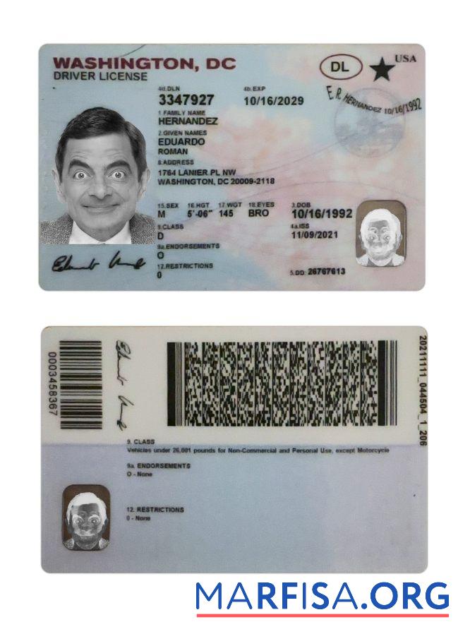 Printable USA Washington DC driving license example